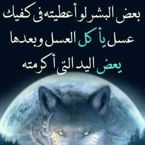 Meet your Posher, Attek